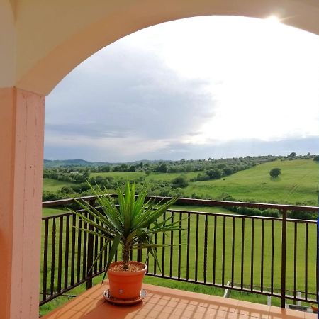Agriturismo Podere Verdicchio Scansano Eksteriør bilde