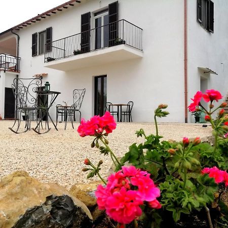 Agriturismo Podere Verdicchio Scansano Eksteriør bilde