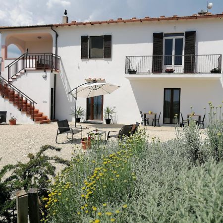 Agriturismo Podere Verdicchio Scansano Eksteriør bilde