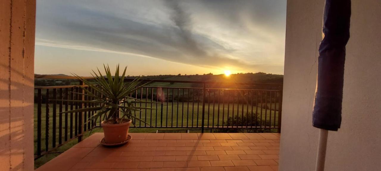 Agriturismo Podere Verdicchio Scansano Eksteriør bilde