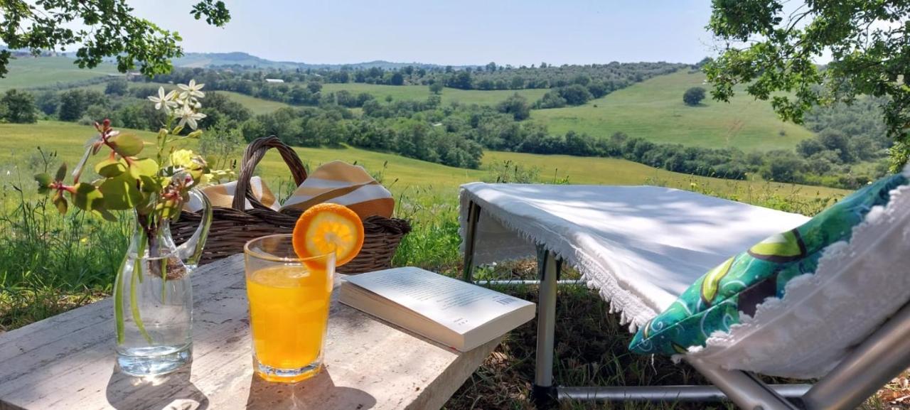 Agriturismo Podere Verdicchio Scansano Eksteriør bilde